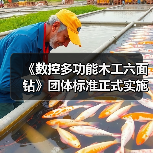 《数控多功能木工六面钻》团体标准正式实施，行业规范迎来新升级（图4）
