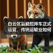 白云区氢能搅拌车正式运营，传统运输业如何实现绿色转型？（图3）
