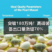 突破180万吨！高端装备出口量激增70%（图3）
