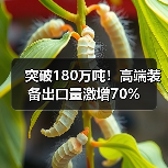 突破180万吨！高端装备出口量激增70%（图4）
