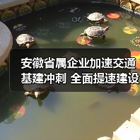 安徽省属企业加速交通基建冲刺 全面提速建设（图1）