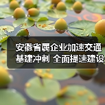 安徽省属企业加速交通基建冲刺 全面提速建设（图3）