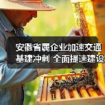 安徽省属企业加速交通基建冲刺 全面提速建设（图4）