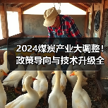 2024煤炭产业大调整！政策导向与技术升级全解析（图4）