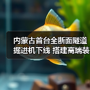 内蒙古首台全断面隧道掘进机下线 搭建高端装备制造新标杆（图2）