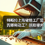 特斯拉上海储能工厂是否即将动工？航拍曝光建设准备（图1）