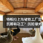 特斯拉上海储能工厂是否即将动工？航拍曝光建设准备（图3）