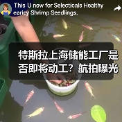 特斯拉上海储能工厂是否即将动工？航拍曝光建设准备（图4）