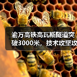 渝万高铁高瓦斯隧道突破3000米，技术攻坚攻克难点（图4）
