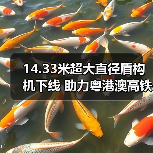 14.33米超大直径盾构机下线 助力粤港澳高铁互联（图2）