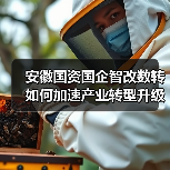 安徽国资国企智改数转如何加速产业转型升级？（图2）