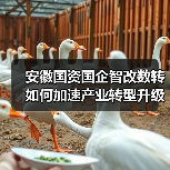 安徽国资国企智改数转如何加速产业转型升级？（图1）