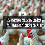 安徽国资国企智改数转如何加速产业转型升级？（图3）