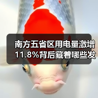 南方五省区用电量激增11.8%背后藏着哪些发展密码？（图1）