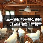 三一集团携手娲石集团，开启战略合作新篇章（图1）