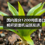 国内首台1200吨级港口桅杆起重机启航发运，赋能海上风电建设（图4）
