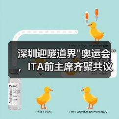 深圳迎隧道界