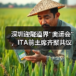 深圳迎隧道界