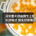 深圳重大项目民生工程加速推进 民生项目高效落实（图1）