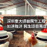 深圳重大项目民生工程加速推进 民生项目高效落实（图4）