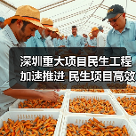 深圳重大项目民生工程加速推进 民生项目高效落实（图3）