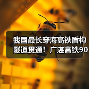 我国最长穿海高铁盾构隧道贯通！广湛高铁90分钟连通广湛（图2）