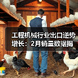 工程机械行业出口逆势增长：2月销量数据揭秘（图2）