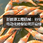 新能源工程机械：行业电动化转型如何开启绿色新篇章？（图1）