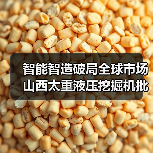 智能智造破局全球市场 山西太重液压挖掘机批量出海（图2）
