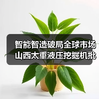 智能智造破局全球市场 山西太重液压挖掘机批量出海（图3）