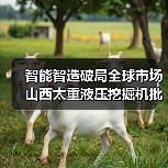 智能智造破局全球市场 山西太重液压挖掘机批量出海（图4）