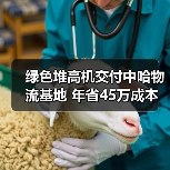 绿色堆高机交付中哈物流基地 年省45万成本（图3）
