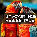 绿色堆高机交付中哈物流基地 年省45万成本（图4）