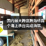 国内最大跨度跨海桥首个海上承台完成浇筑，为通车奠定基础（图1）