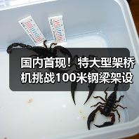 国内首现！特大型架桥机挑战100米钢梁架设难题（图3）