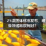 25项团体标准发布，哪些领域将获利好？（图2）