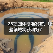 25项团体标准发布，哪些领域将获利好？（图4）