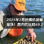 2024年2月挖掘机销量暴跌！国内同比降49.2%（图1）