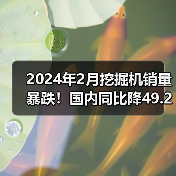 2024年2月挖掘机销量暴跌！国内同比降49.2%（图3）