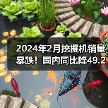 2024年2月挖掘机销量暴跌！国内同比降49.2%（图4）