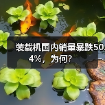 装载机国内销量暴跌50.4%，为何？（图4）