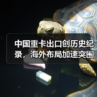 中国重卡出口创历史纪录，海外布局加速突围（图2）