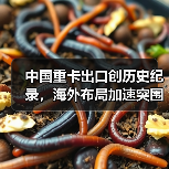 中国重卡出口创历史纪录，海外布局加速突围（图4）