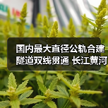 国内最大直径公轨合建隧道双线贯通 长江黄河首隧(图3) 国内最大直径公轨合建隧道双线贯通 长江黄河首隧(图3)