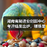 湖南省制造业创新中心考评结果出炉,哪些单位晋级?(图3) 湖南省制造业创新中心考评结果出炉,哪些单位晋级?(图3)