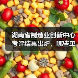 湖南省制造业创新中心考评结果出炉,哪些单位晋级?(图4) 湖南省制造业创新中心考评结果出炉,哪些单位晋级?(图4)