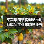 叉车集团结构调整推动新能源工业车辆产业升级(图2) 叉车集团结构调整推动新能源工业车辆产业升级(图2)