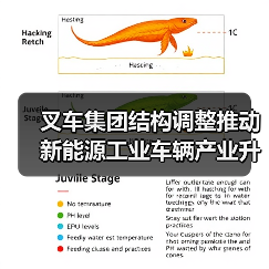 叉车集团结构调整推动新能源工业车辆产业升级(图4) 叉车集团结构调整推动新能源工业车辆产业升级(图4)