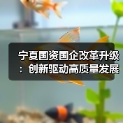 宁夏国资国企改革升级:创新驱动高质量发展新图景?(图1) 宁夏国资国企改革升级:创新驱动高质量发展新图景?(图1)
