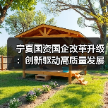 宁夏国资国企改革升级:创新驱动高质量发展新图景?(图2) 宁夏国资国企改革升级:创新驱动高质量发展新图景?(图2)